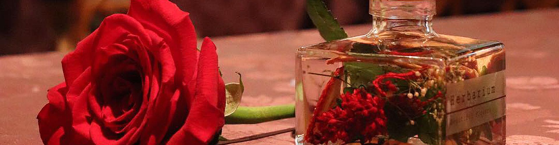 ご相談・資料請求